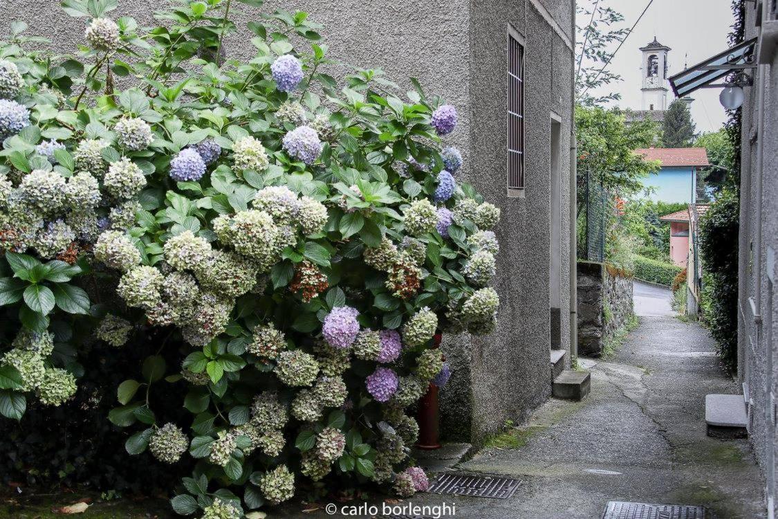 Bellano Casa Elenaアパートメント エクステリア 写真